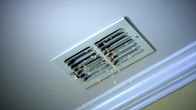 Best HVAC Duct Inspection Services  in Tahoka, TX
